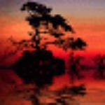 Alvalade Restaurante